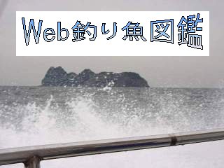 kanmurijima01.jpg (17815 �o�C�g)