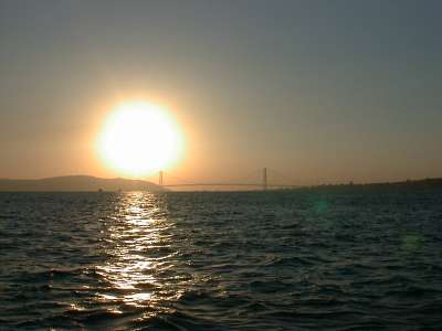 okada_001016_2.jpg (11226 �o�C�g)