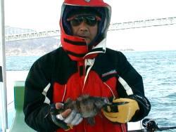 20010203_01.jpg (9849 �o�C�g)