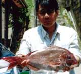 madai_noriyuki04.jpg (5516 �o�C�g)